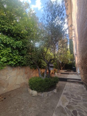 Jardín